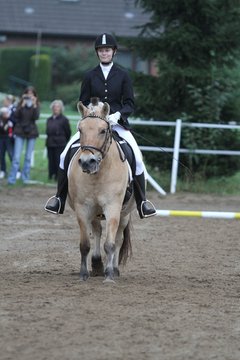 Bild 420 - WBO-Turnier am 18.9.11
